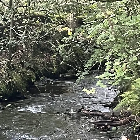 ゲストハウス Cambridge House (adults Only)