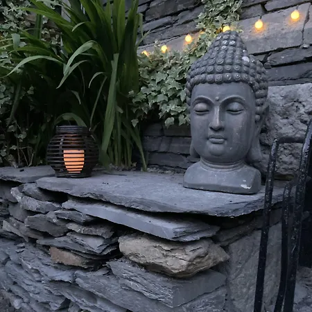 Cambridge House (adults Only) ゲストハウス